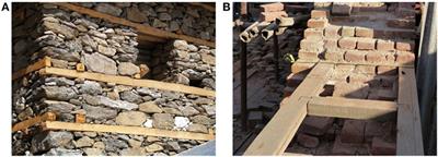 How Can Vernacular Construction Techniques Sustain Earthquakes: The Case of the Bhatar Buildings